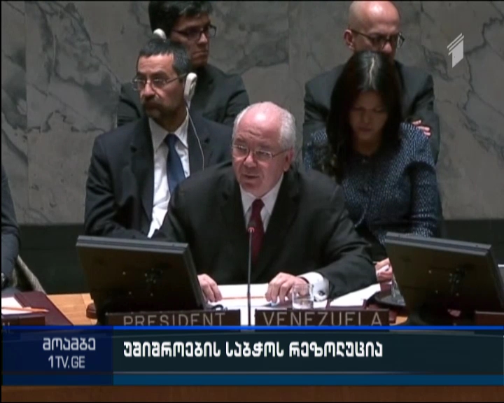 UNSC adopts Syrian truce resolution, endorses ceasefire