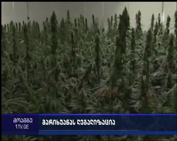 Germany Will Legalize Medical Marijuana by 2017, Says Minister of Health