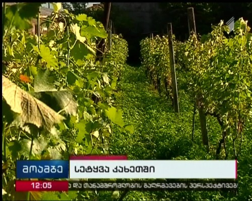 Special commission to calculate damage inflicted to Kvareli