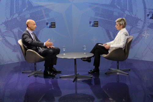 Deputy Assistant Secretary of NATO evaluates Georgian elections