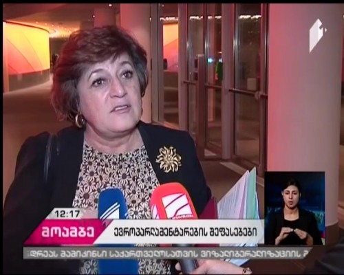 European MPs evaluate Georgian parliamentary elections