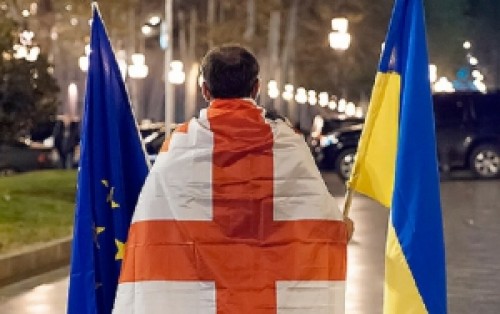 რუსეთის დუმის დეპუტატი უვიზო რეჟიმს „სატყუარას