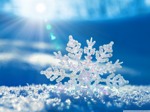 Environment National Agency publishes weather forecast