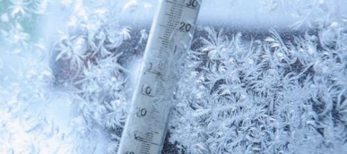 Frost prognosticated for January 31