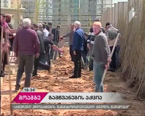 გამწვანების აქცია დიდ დიღომში