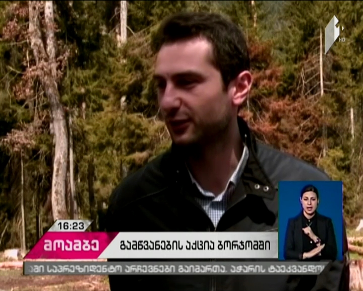 ბორჯომში, პლატოს მიმდებარე ტერიტორიაზე გამწვანების აქცია გაიმართა