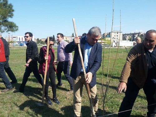 გამწვანების აქცია რუსთავში