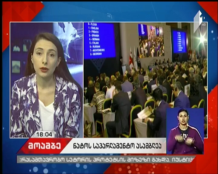 „საქართველო გახდება ნატო-ს წევრი“- ნატო-ს საპარლამენტო ასამბლეამ საქართველოს მხარდამჭერი დეკლარაცია მიიღო