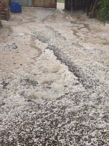 Hailstorm Hits Georgia’s Kakheti Region