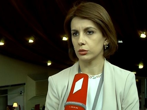 CoE to begin work on special report about Georgia’s occupied regions