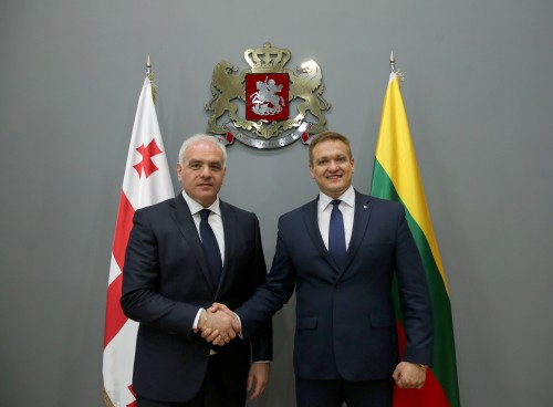 Giorgi Mgebrishvili met with the Minister of Interior of Lithuania