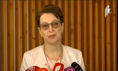 We are not trying to avoid fair criticism - Nino Gvenetadze