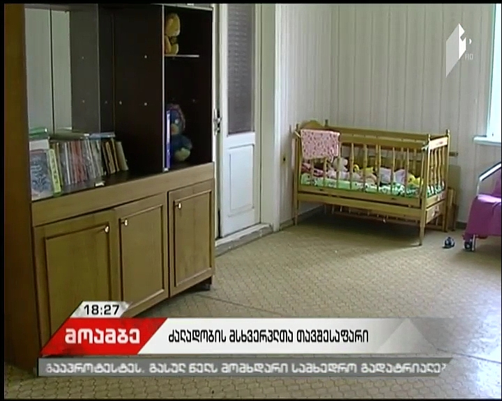 Number of applications by victims of violence and trafficking to shelters increases 