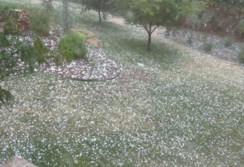 Hailstorm Hits Georgia’s Kakheti Region