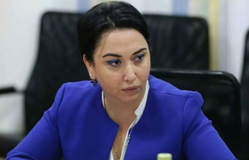 It seems impossible to reach agreement on constitutional changes – Eka Beselia