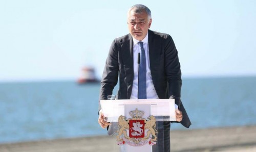 მამუკა ხაზარაძე ხის ჭრაზე მორატორიუმს ითხოვს