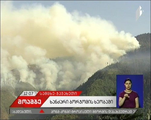 Emergency headquarters established regarding Borjomi Gorge fire