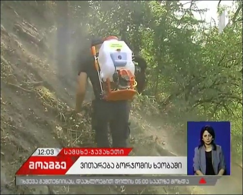 Fire localization works continue in Borjomi Gorge