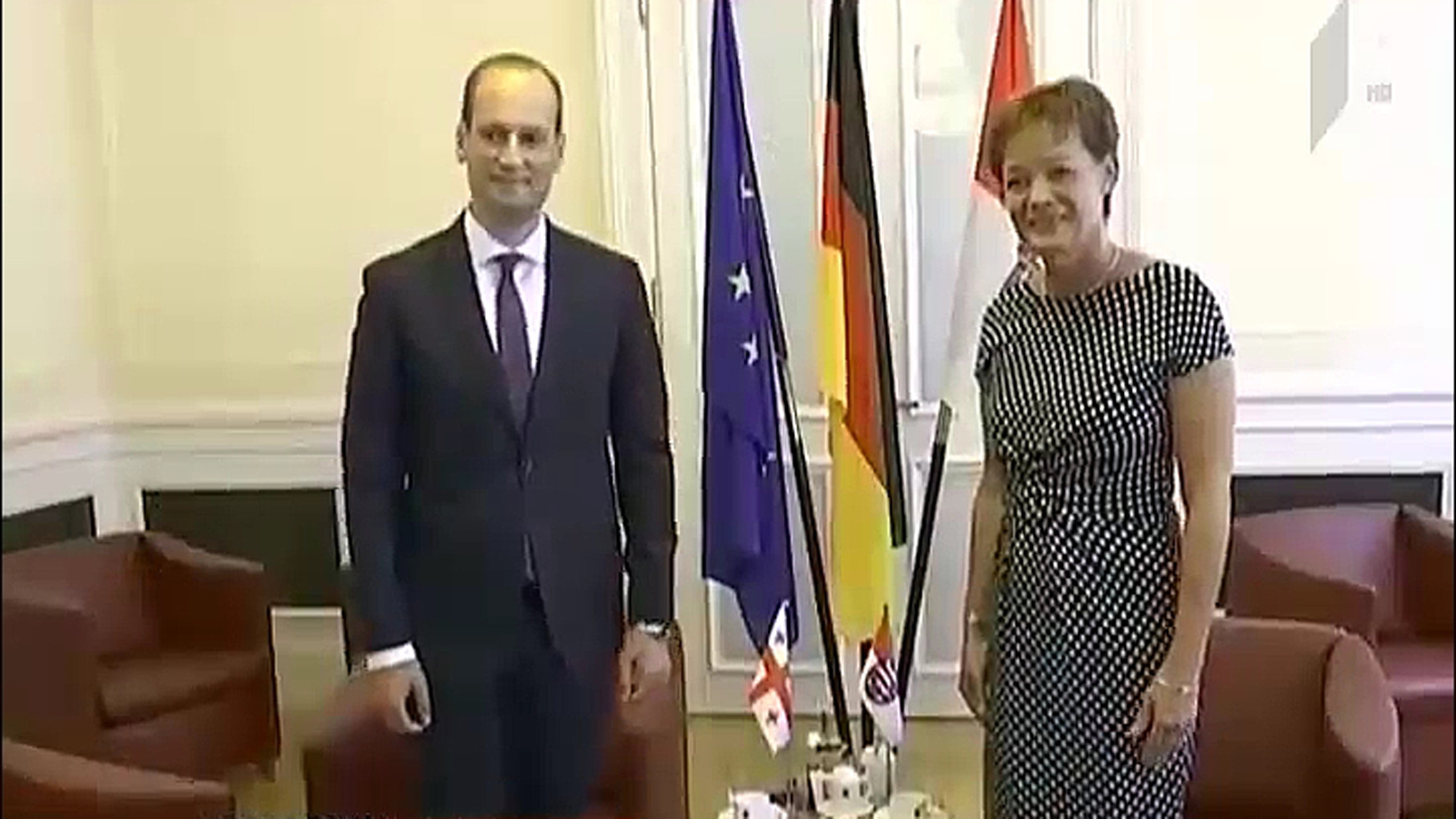 მიხეილ ჯანელიძე გერმანიაში შეხვედრებს მართავს
