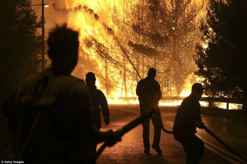 Greece seeks EU help as wildfires rage