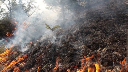 Fire hits two villages in Akhaltsikhe and Akhalkalaki municipalities