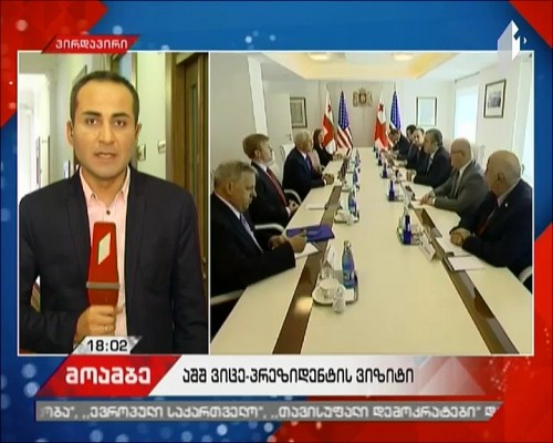 Evaluations about visit of US Vice President in Georgia 