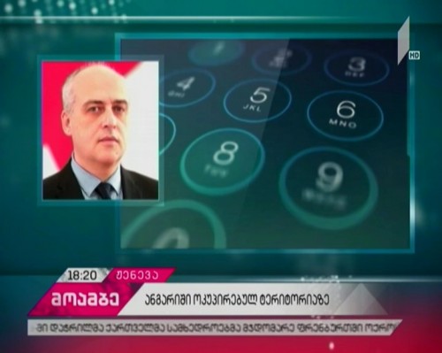 Georgia's occupied regions - spacial report was discussed in Geneva