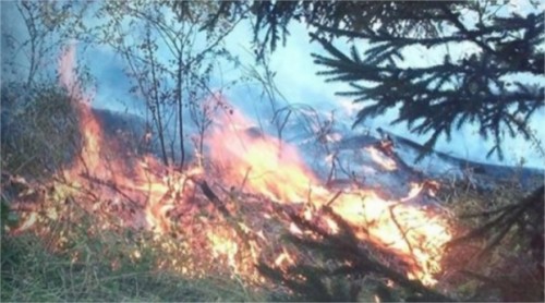 Fire in Artsevi