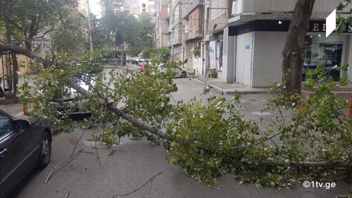 ქარის გამო, 112-ში ათეულობით შეტყობინება შევიდა