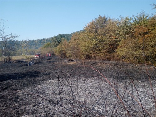 Fire in Tsnori is localized 