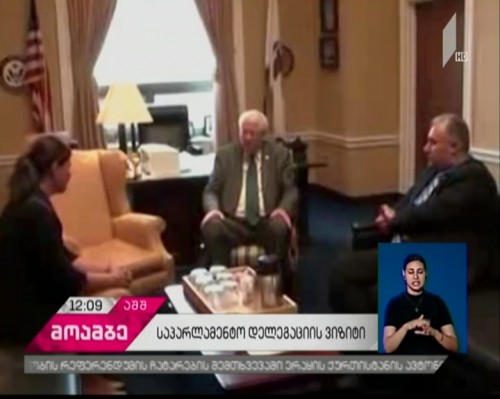 Georgian parliamentary delegation holds meetings in Washington