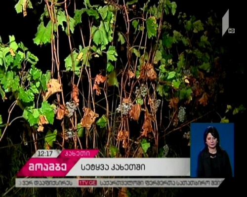 Damage inflicted to Kakheti villages being calculated