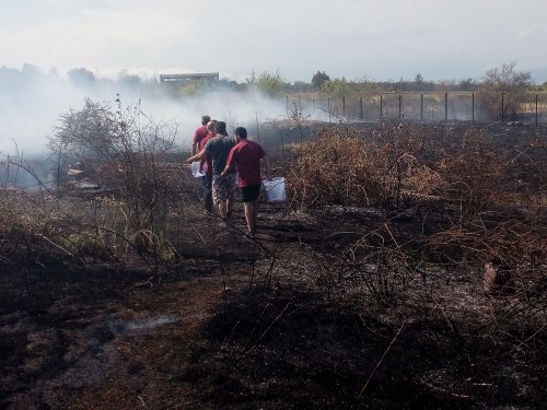 Fire in localized in Telavi