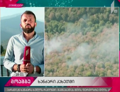 Firefighters battling flame in Kakheti and Tusheti - The latest information from disaster zone 