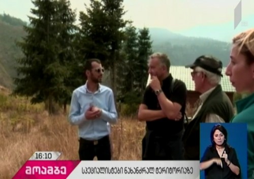 ბორჯომის ხეობაში ნახანძრალ ტერიტორიაზე ვითარებას სპეციალური კომისია სწავლობს
