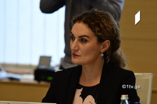 ქეთევან ციხელაშვილი - საქართველო შვეიცარულ მხარესთან არის პირნათელი, შემხვედრი ნაბიჯები საჭიროა სწორედ რუსეთის მხრიდან