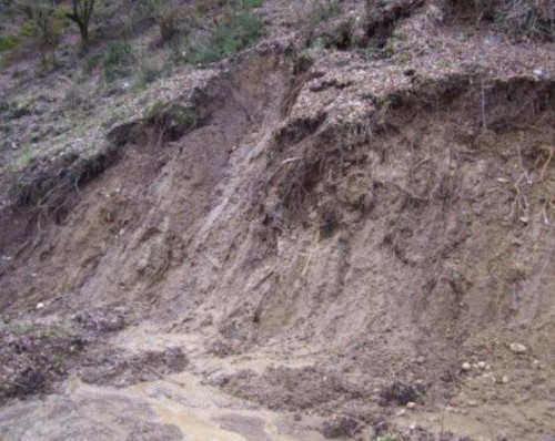 Heavy rain caused landslides in Adjara