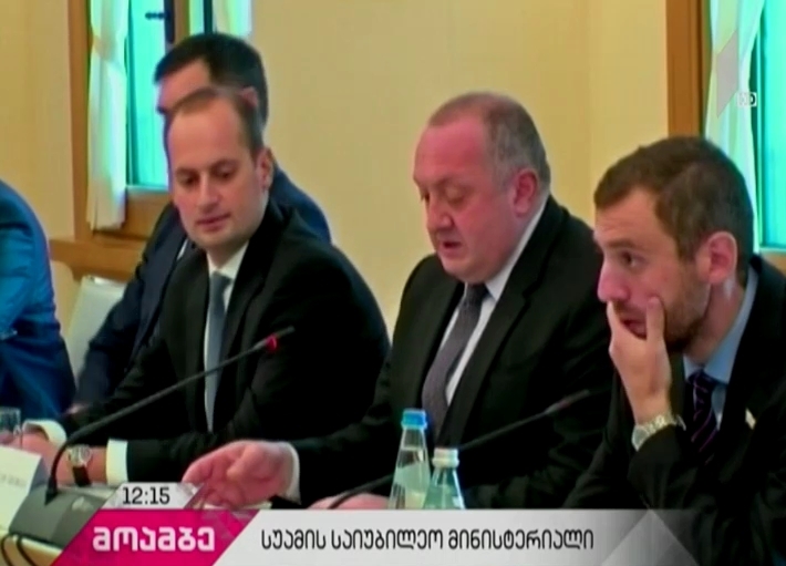 საქართველოს პრეზიდენტმა და პრემიერ-მინისტრმა სუამის ქვეყნების საგარეო საქმეთა მინისტრების დელეგაციას უმასპინძლეს