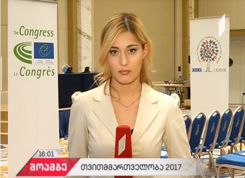 OSCE observation mission made statement about preliminary evaluation of Georgian elections 