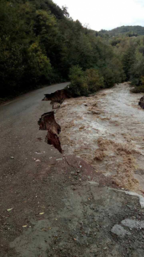 რეგიონებში სტიქიის სალიკვიდაციო სამუშაოები გრძელდება