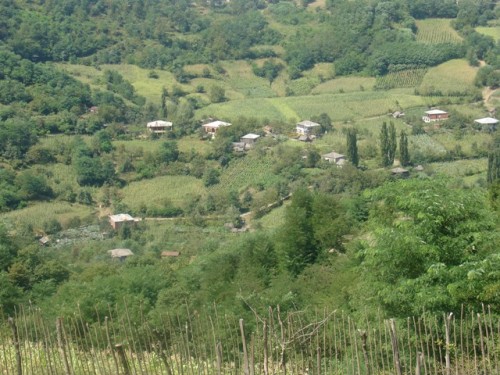ზესტაფონში, სოფელ ილემის საბავშვო ბაღში რვა ადამიანი მოიწამლა, მათ შორის ხუთი ბავშვი