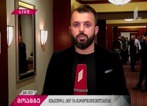NDI-ის წარმომადგენლები „ევროპული საქართველოს“ წევრებს ხვდებიან 