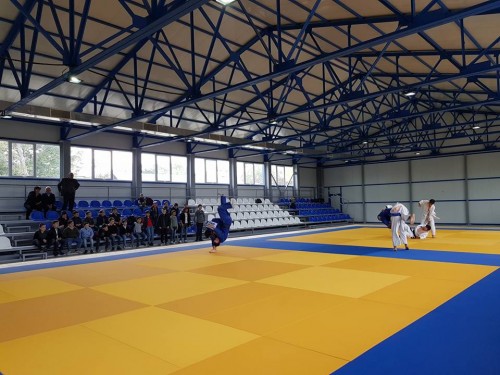 გარდაბნის მუნიციპალიტეტის სოფელ სართიჭალაში ძიუდოს დარბაზი გაიხსნა