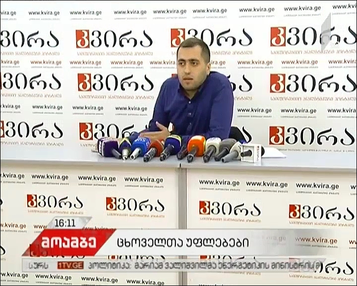 „ცხოველთა დაცვის ფედერაცია“ - თბილისის თავშესაფარში ცხოველებს ე.წ ინგლისური მარილით ხოცავენ
