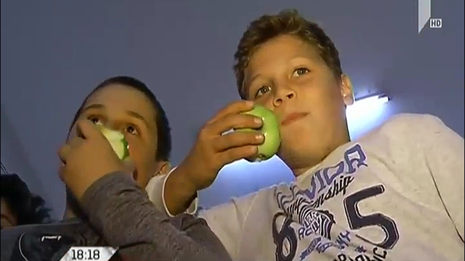 Distribution of apples began at schools
