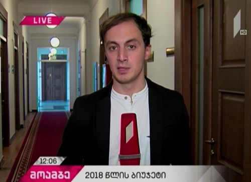 The budget for 2018 is being discussed in the Parliament of Georgia