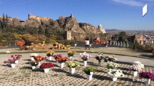 თბილისის ბოტანიკურ ბაღში ყვავილების ფესტივალი გრძელდება