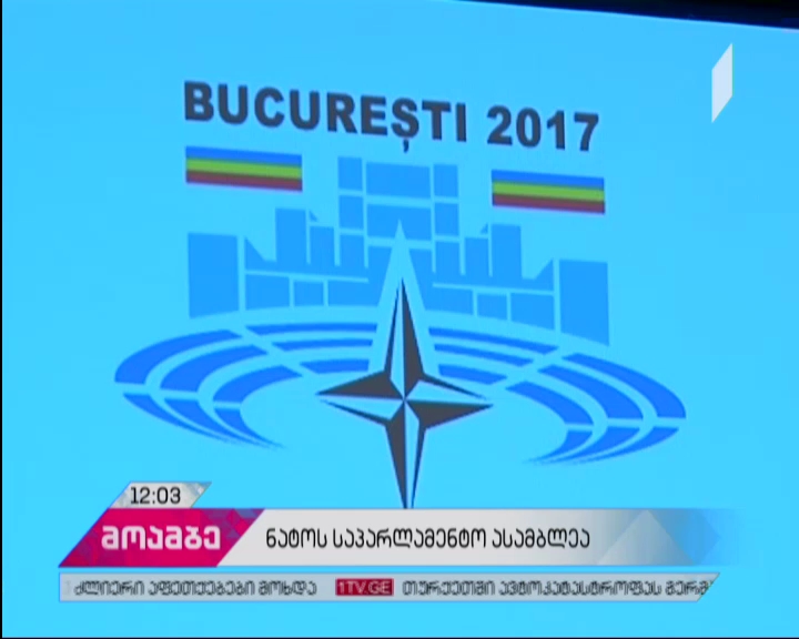 Georgian delegation attends NATO Parliamentary Assembly