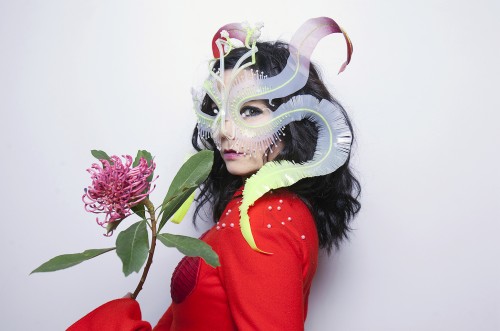 Björk უკვე თბილისშია