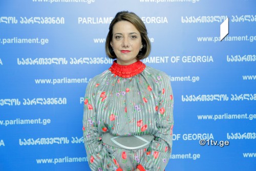 სალომე სამადაშვილი - არცერთ ბიზნესს აქვს თავისუფლება, შეწირულობა პოლიტიკური საქმიანობისთვის გასცეს მისი შეხედულებიდან გამომდინარე